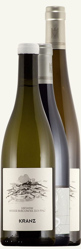 <br>Artikel-Nr.: 113<br>NEUE HORIZONTE<br>